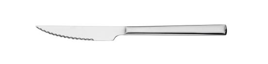 Pintinox Synthesis steak knife 22,5cm, half serrated in pack of 6 pieces